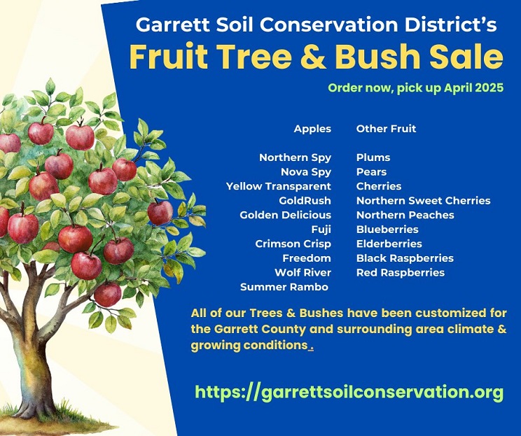 Facebook post for GSCD Fruit Tree & Bush Sale